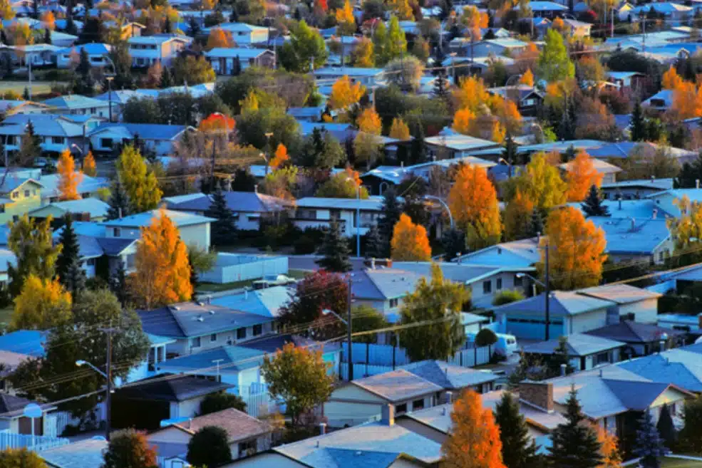 Edmonton's Thriving Suburbs